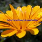 Easy Qi mit Karin Amberger 10:00 bis 11:00 Uhr
