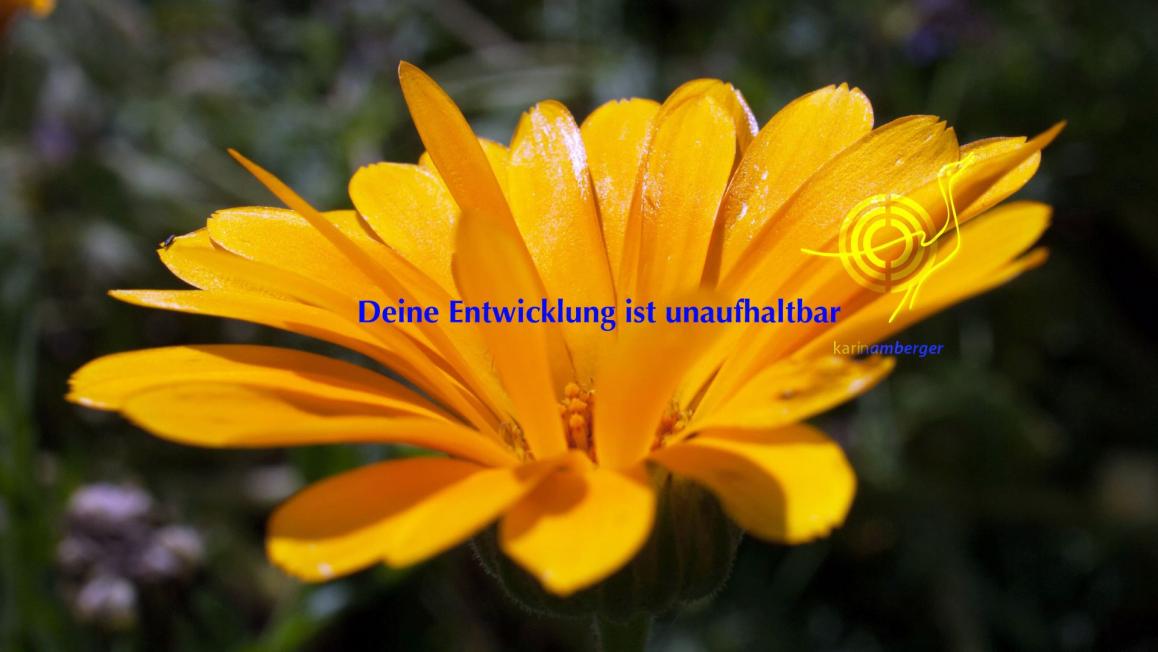 Easy Qi mit Karin Amberger 10:00 bis 11:00 Uhr